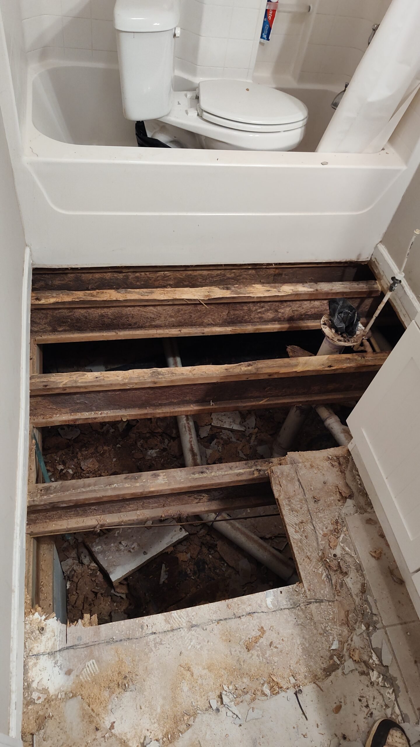 IMG_20250802_101250107