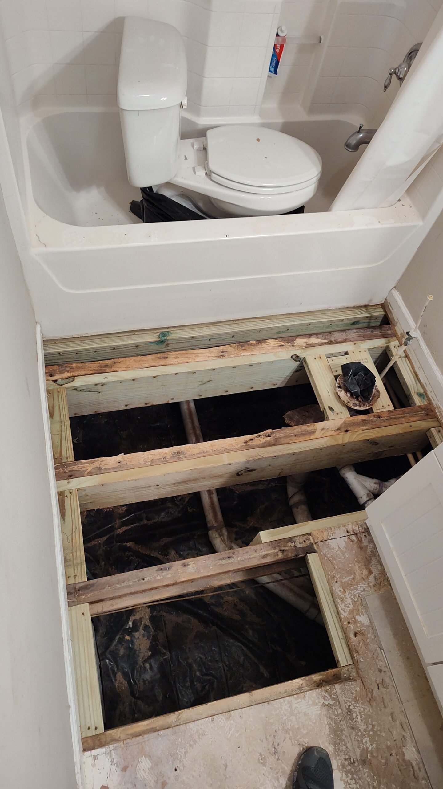 IMG_20250803_111900728