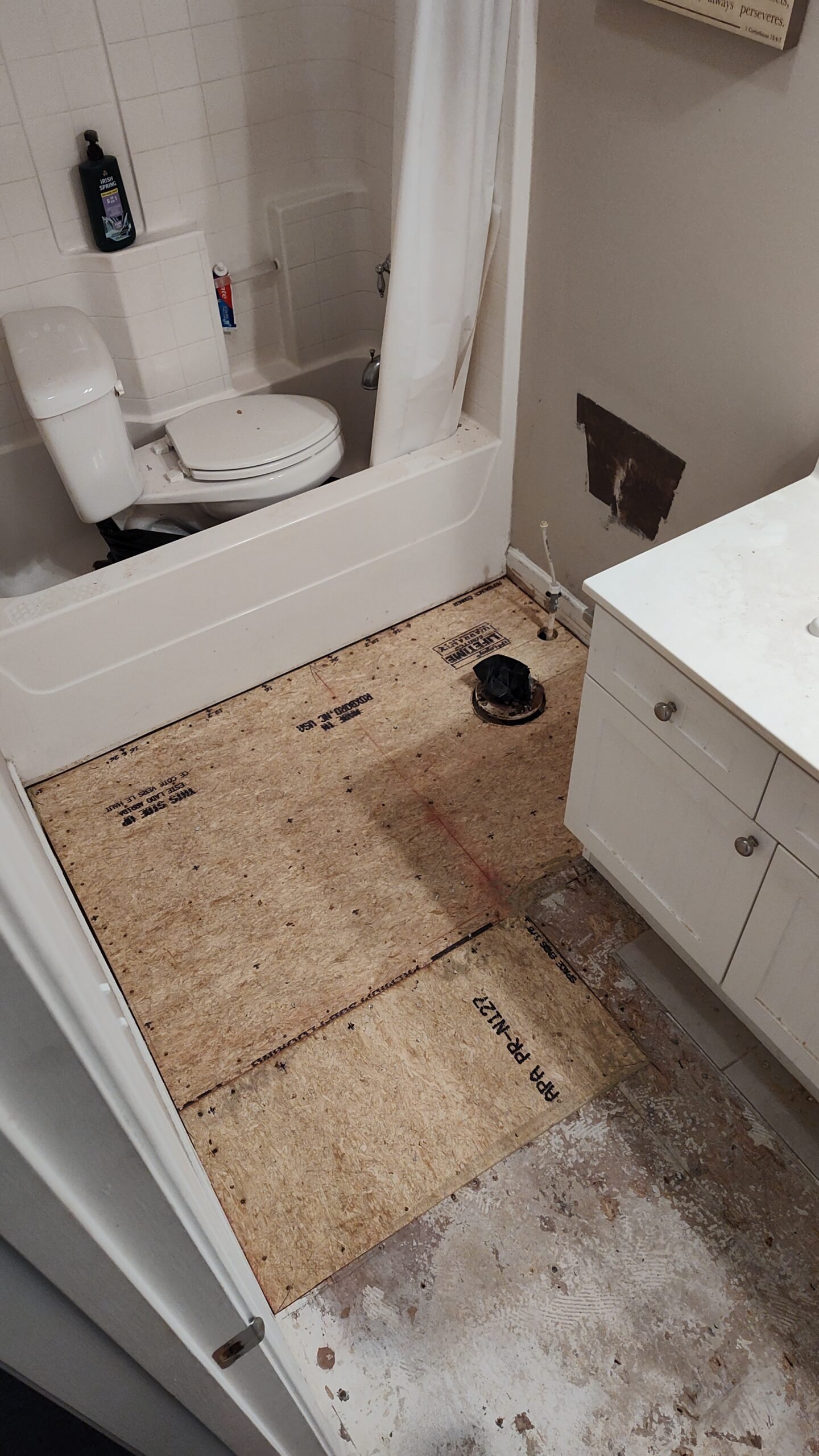 IMG_20250803_124408346