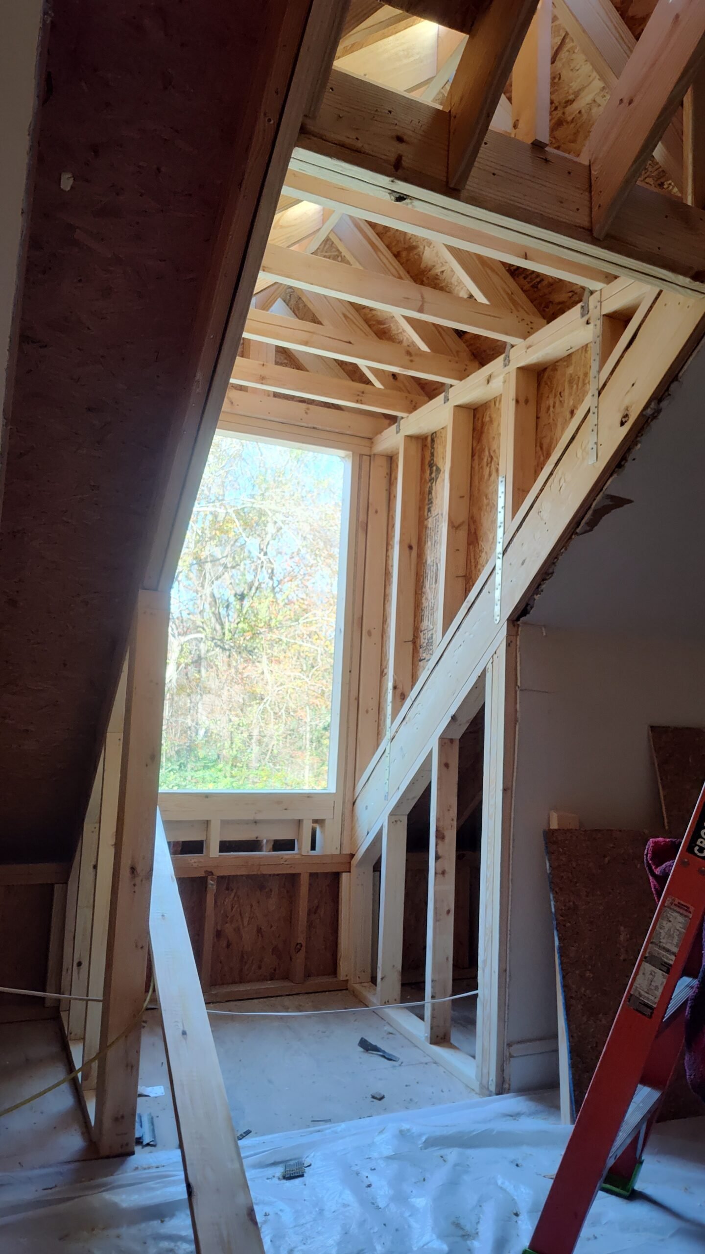 IMG_20251210_140224120_HDR