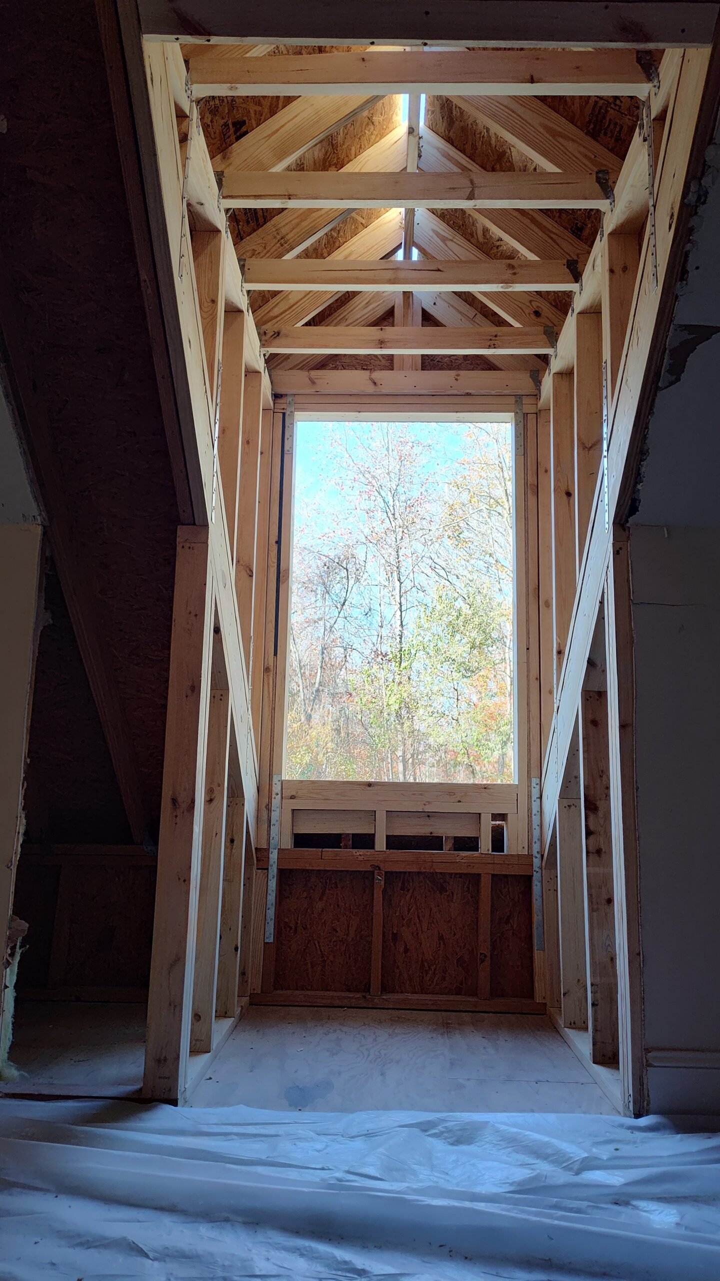 IMG_20251211_140453590_HDR